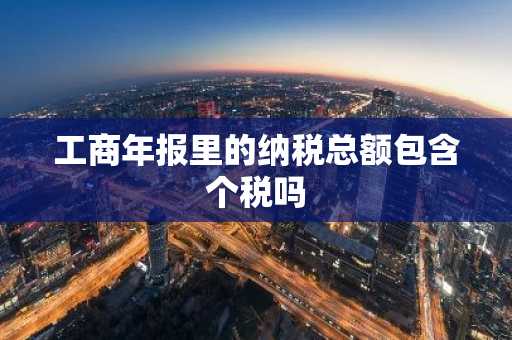工商年报里的纳税总额包含个税吗
