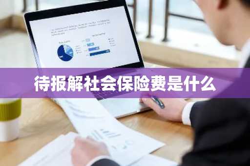 待报解社会保险费是什么