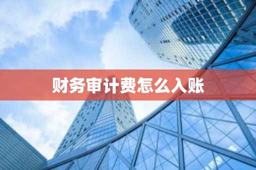 财务审计费怎么入账