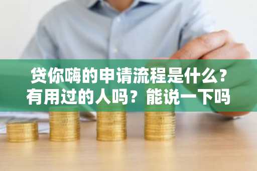 贷你嗨的申请流程是什么？有用过的人吗？能说一下吗？