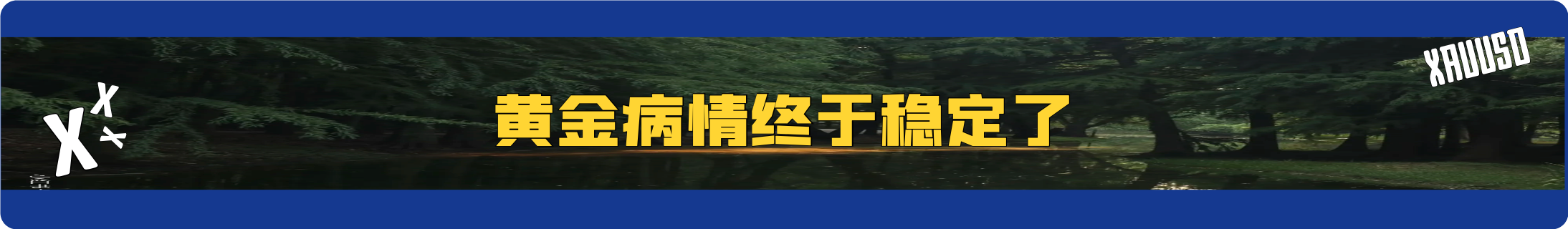 外汇界雪莉：黄金病情终于稳定了