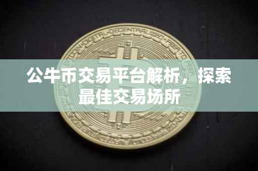公牛币交易平台解析，探索最佳交易场所