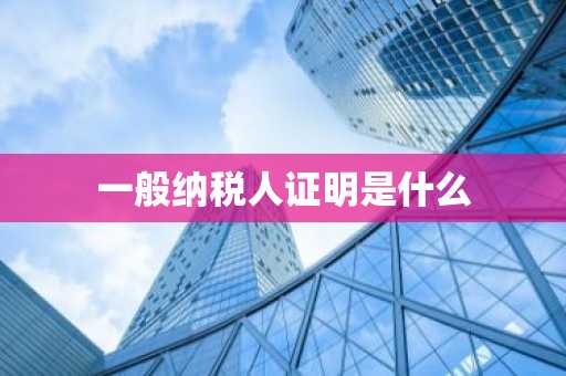 一般纳税人证明是什么
