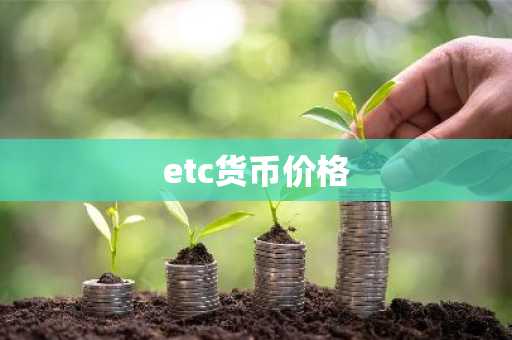 etc货币价格
