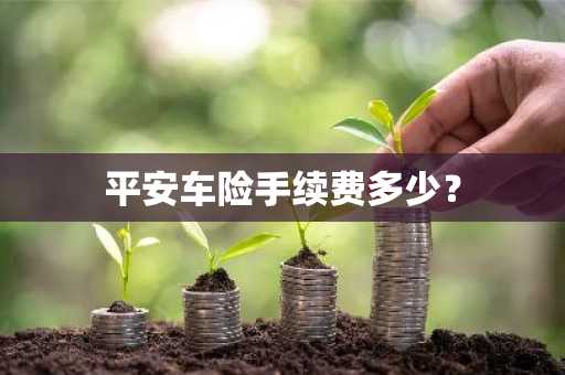 平安车险手续费多少？