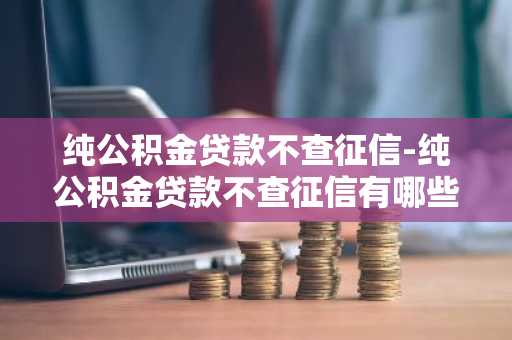 纯公积金贷款不查征信-纯公积金贷款不查征信有哪些
