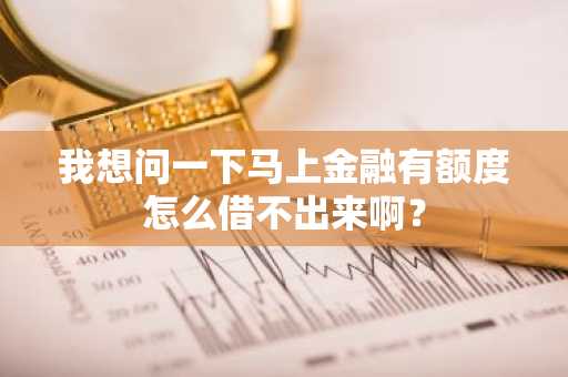 我想问一下马上金融有额度怎么借不出来啊？
