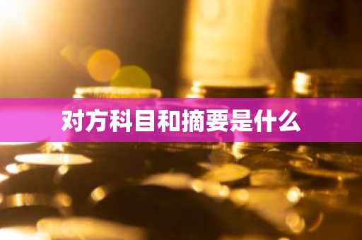 对方科目和摘要是什么