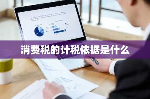 消费税的计税依据是什么