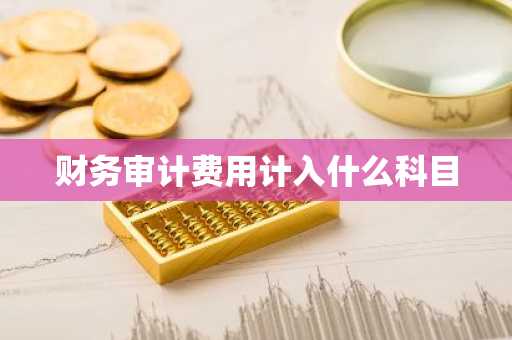财务审计费用计入什么科目