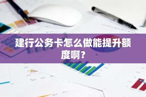 建行公务卡怎么做能提升额度啊？