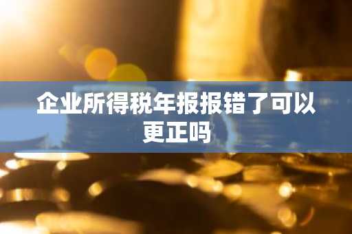 企业所得税年报报错了可以更正吗