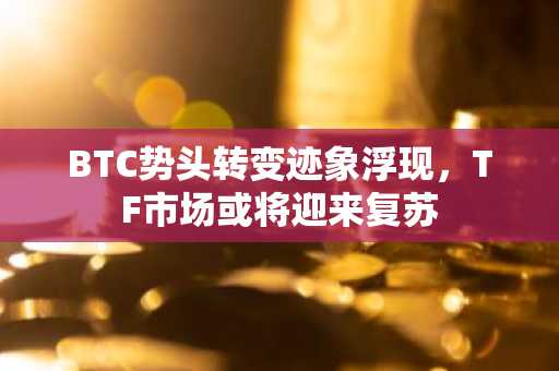 BTC势头转变迹象浮现，TF市场或将迎来复苏