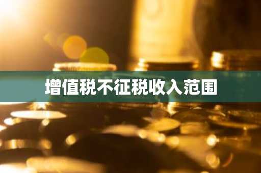 增值税不征税收入范围