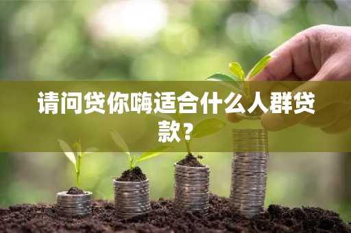 请问贷你嗨适合什么人群贷款？