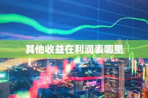 其他收益在利润表哪里