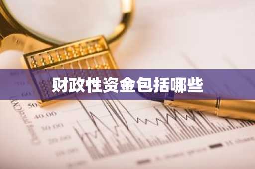 财政性资金包括哪些
