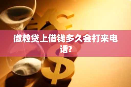 微粒贷上借钱多久会打来电话?