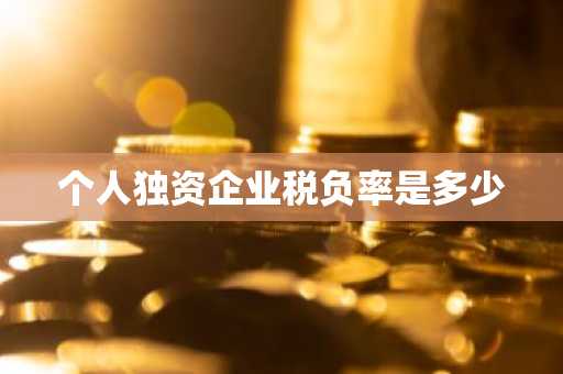 个人独资企业税负率是多少