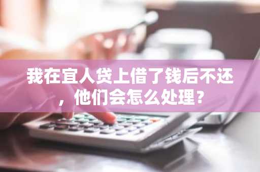 我在宜人贷上借了钱后不还，他们会怎么处理？