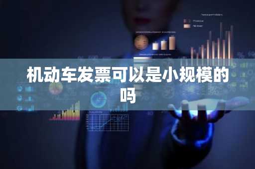 机动车发票可以是小规模的吗