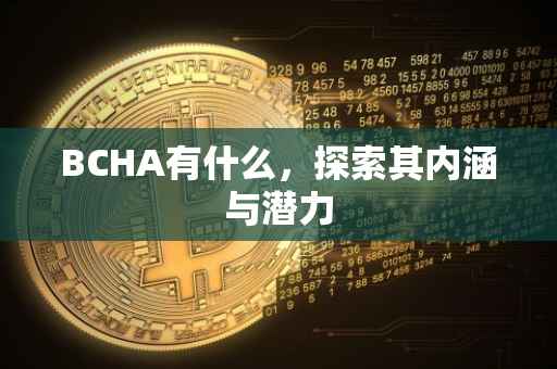 BCHA有什么，探索其内涵与潜力
