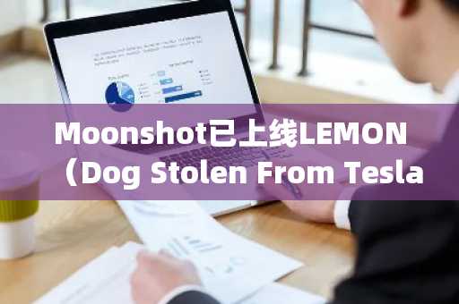 Moonshot已上线LEMON（Dog Stolen From Tesla）