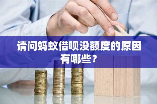 请问蚂蚁借呗没额度的原因有哪些？