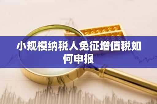 小规模纳税人免征增值税如何申报