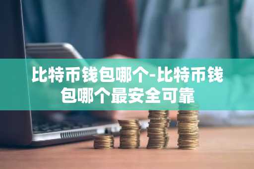 比特币钱包哪个-比特币钱包哪个最安全可靠