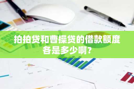 拍拍贷和曹操贷的借款额度各是多少啊？