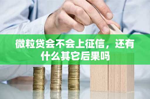微粒贷会不会上征信，还有什么其它后果吗