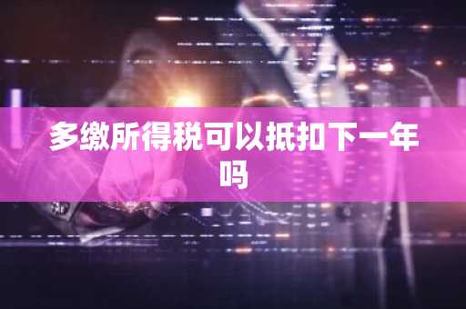 多缴所得税可以抵扣下一年吗