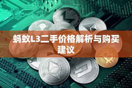 蚂蚁L3二手价格解析与购买建议