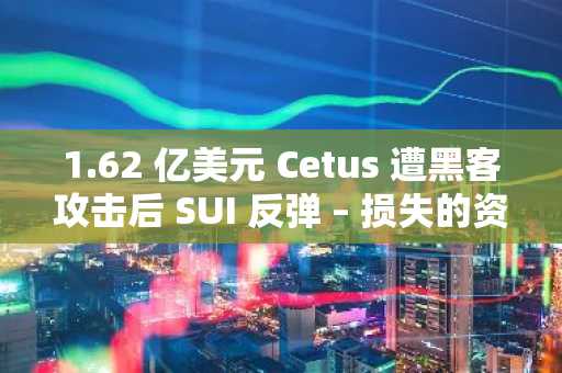 1.62 亿美元 Cetus 遭黑客攻击后 SUI 反弹 – 损失的资金能回本吗？