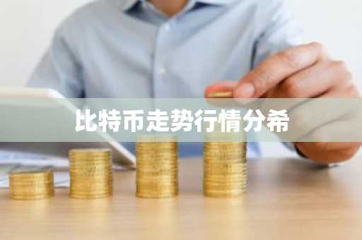 比特币走势行情分希
