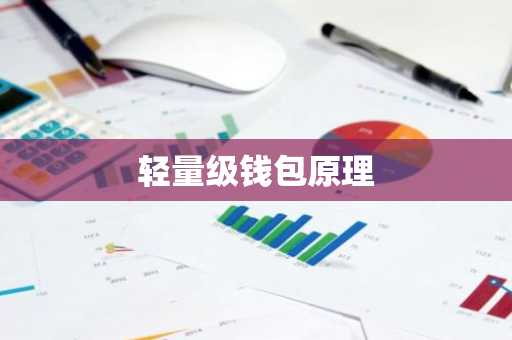 轻量级钱包原理