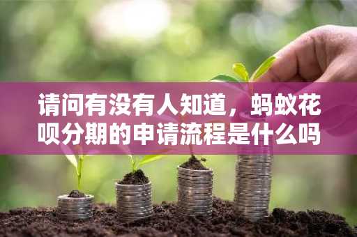 请问有没有人知道，蚂蚁花呗分期的申请流程是什么吗？