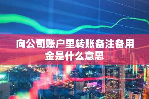 向公司账户里转账备注备用金是什么意思