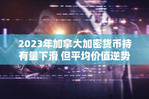 2023年加拿大加密货币持有量下滑 但平均价值逆势上扬