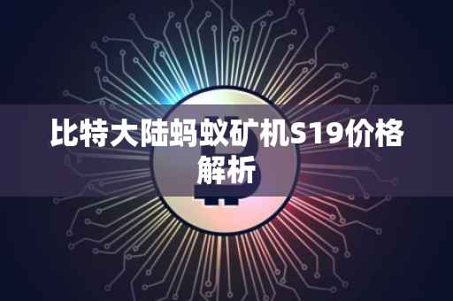 比特大陆蚂蚁矿机S19价格解析