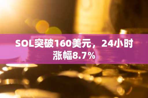 SOL突破160美元，24小时涨幅8.7%