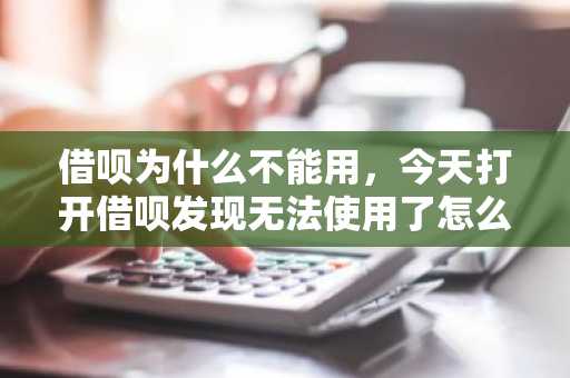 借呗为什么不能用，今天打开借呗发现无法使用了怎么回事？