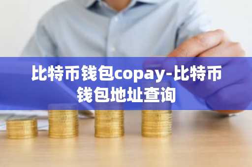 比特币钱包copay-比特币钱包地址查询