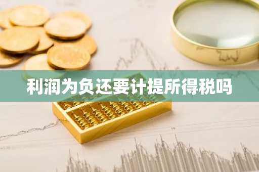 利润为负还要计提所得税吗