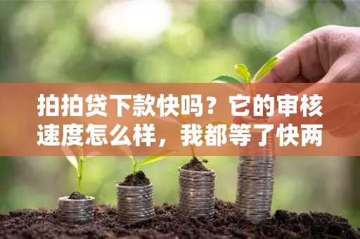 拍拍贷下款快吗？它的审核速度怎么样，我都等了快两天了。