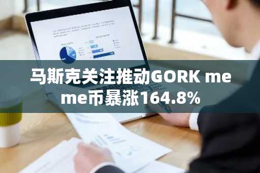 马斯克关注推动GORK meme币暴涨164.8%