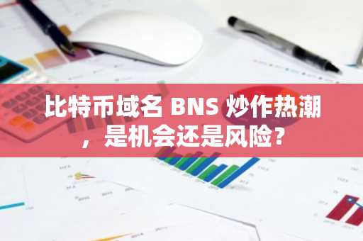 比特币域名 BNS 炒作热潮，是机会还是风险？