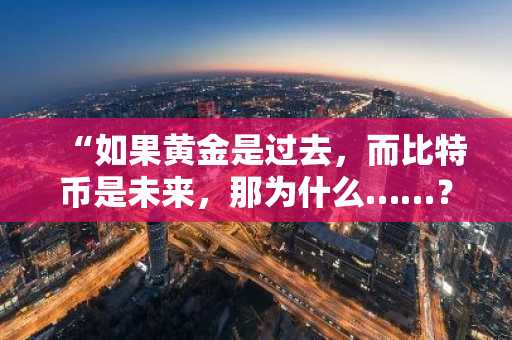 “如果黄金是过去，而比特币是未来，那为什么……？”彼得·希夫质疑银行