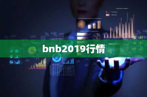 bnb2019行情